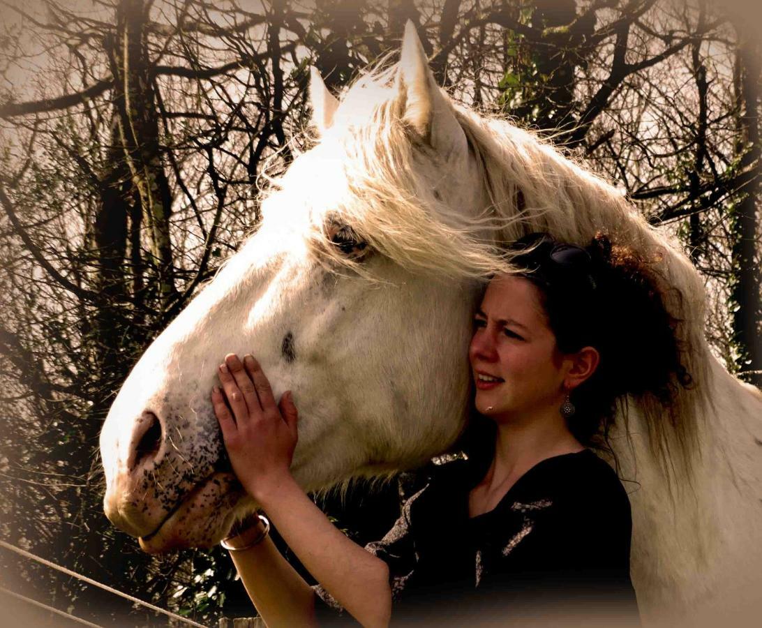 Une Roulotte Et Des Chevaux Treffléan Екстериор снимка